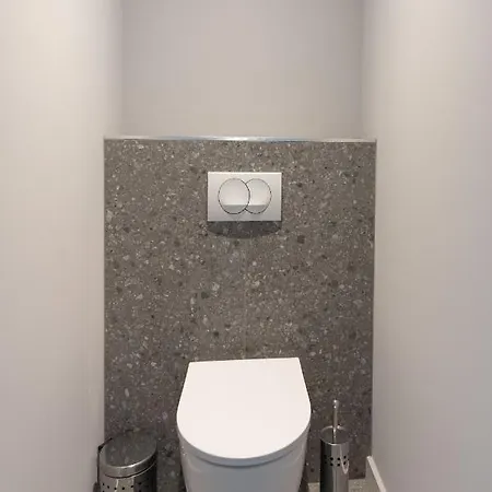 Apartment L'aubrac, T2 Classe Meuble De Tourisme
